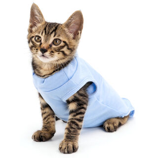 Nobleza Chaleco de recuperación quirúrgica azul para Perros y Gatos