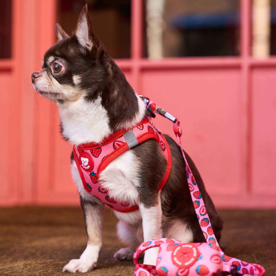 Dukier Trail Arn&eacute;s Body Estampado Berry Love para perros, , large Imagen numero 2