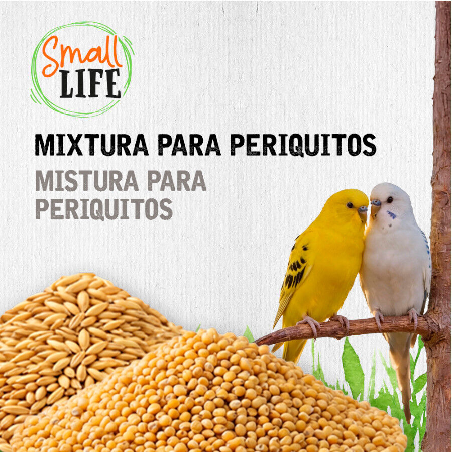 3.7 kg Small Life Mixtura Cubos para periquitos, , large Imagen numero 3
