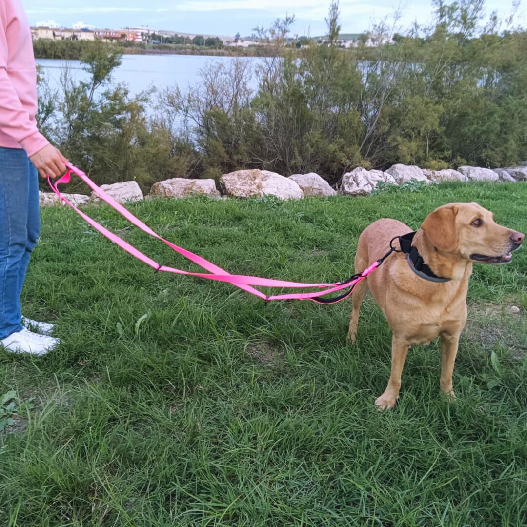 EGV - Correa multiposicion perro con doble asa de neopreno. Correa perro manos libres de 2,50 metros de longitud. (Rosa), , large Imagen numero 5