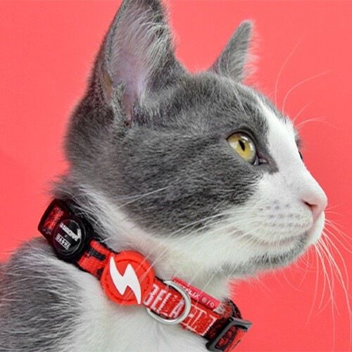 Collar La Casa de Papel Bella Ciao para gatos, , large Imagen numero 2