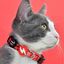 Collar La Casa de Papel Bella Ciao para gatos, , large indicador imagen numero 2