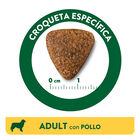 Affinity Libra Adult Pollo pienso para perros, , large image number null