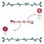 Wonder Christmas Cuerda Forma Caramelo Juguete para perros, , large indicador imagen numero 4