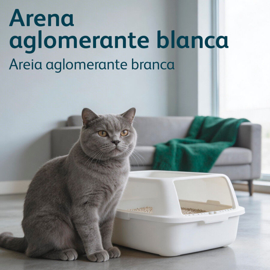 Nova Clean Ultra Natural Arena Aglomerante para gatos, , large Imagen numero 6