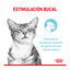 85 g Royal Canin Adult Sensory Feel salsa sobre para gatos, , large indicador imagen numero 2