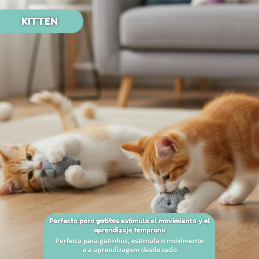 Tootoy! Rat&oacute;n Interactivo con Zumbido para gatitos, , large Imagen numero 5