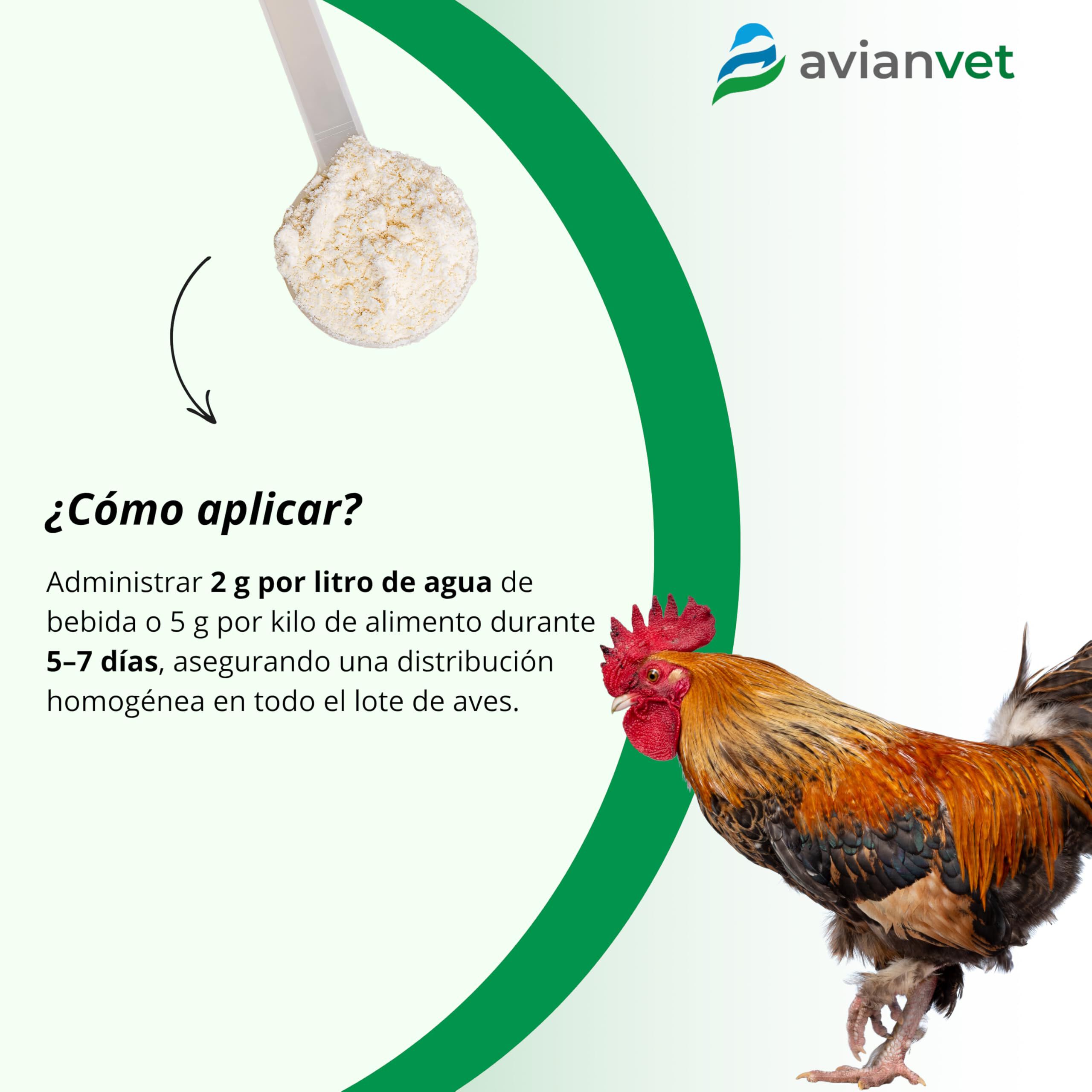 Avianvet Picaje Stop Gallinas y aves de corral 1 kg, , large Imagen numero 3