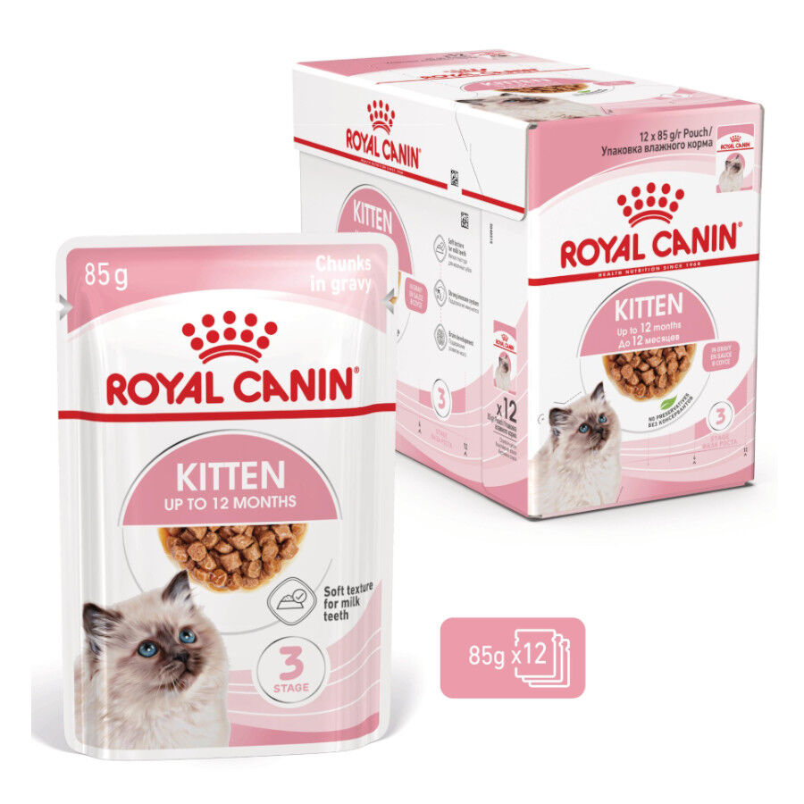Royal Canin Kitten sobre en salsa para gatos