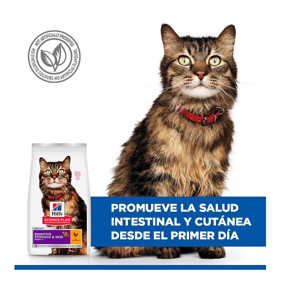 1.5 kg Hill's Adult Science Plan Sensitive Stomach Pollo pienso para gatos, , large Imagen numero 4