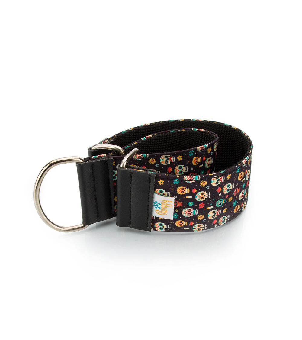 Collar Pamppy Galgo Speedy Calavera Mexicana para perros, , large Imagen numero 1