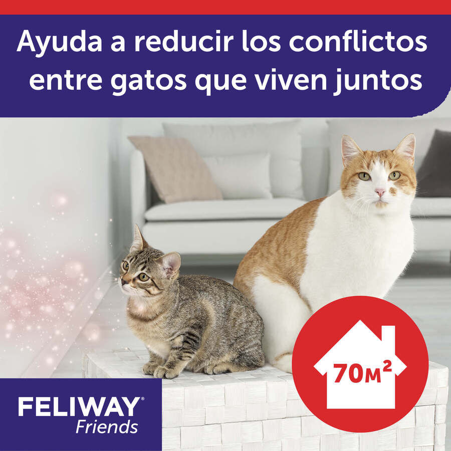 Feliway Friends Difusor para gatos thumbnail