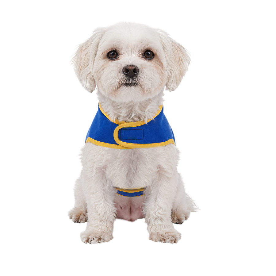 Gotoo Chaqueta Azul con Bolsillo para perros, , large Imagen numero 7