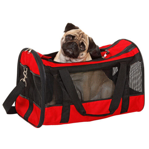 Bolso transportar perros clearance pequeños