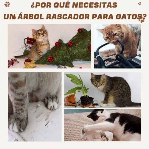 Rascador PawHut para gatos color Gris, , large Imagen numero 5
