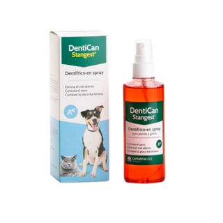 Stangest Denticat Dentífrico en Spray para perros y gatos