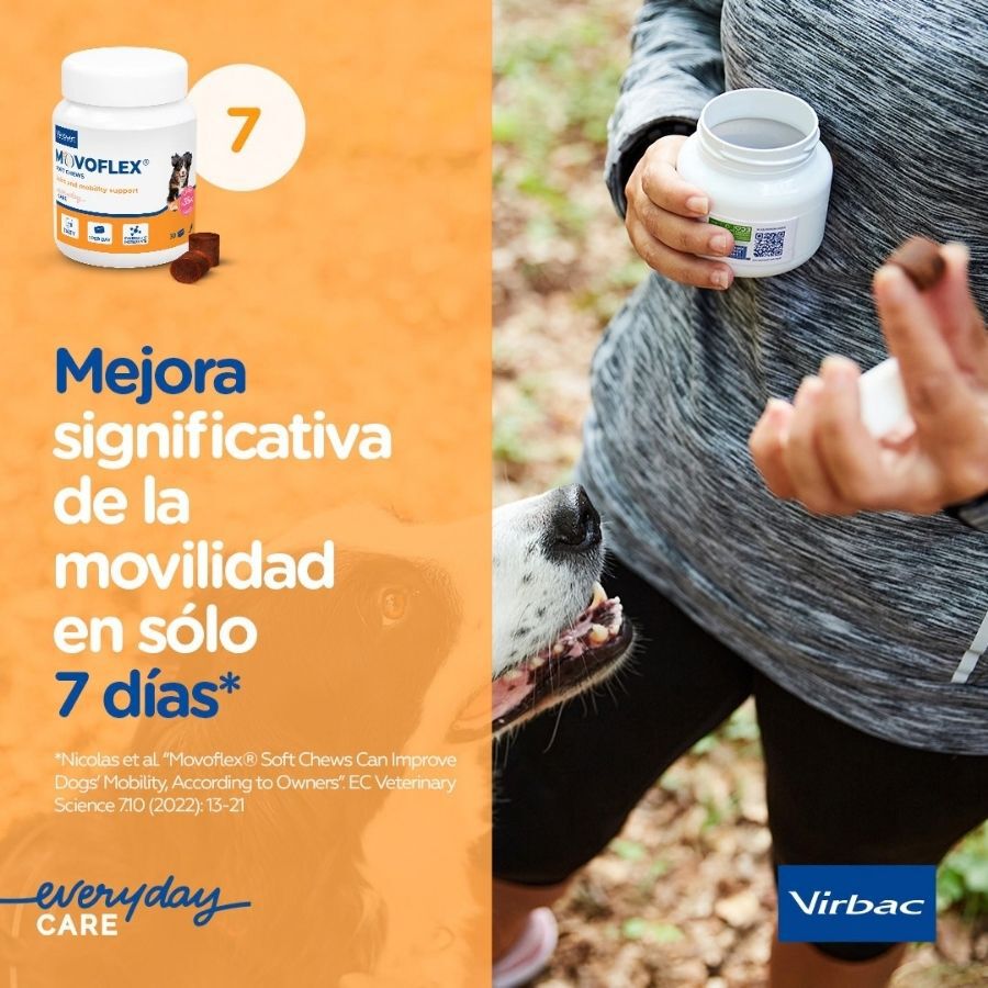 Virbac Movoflex Condroprotector para perros, , large Imagen numero 9