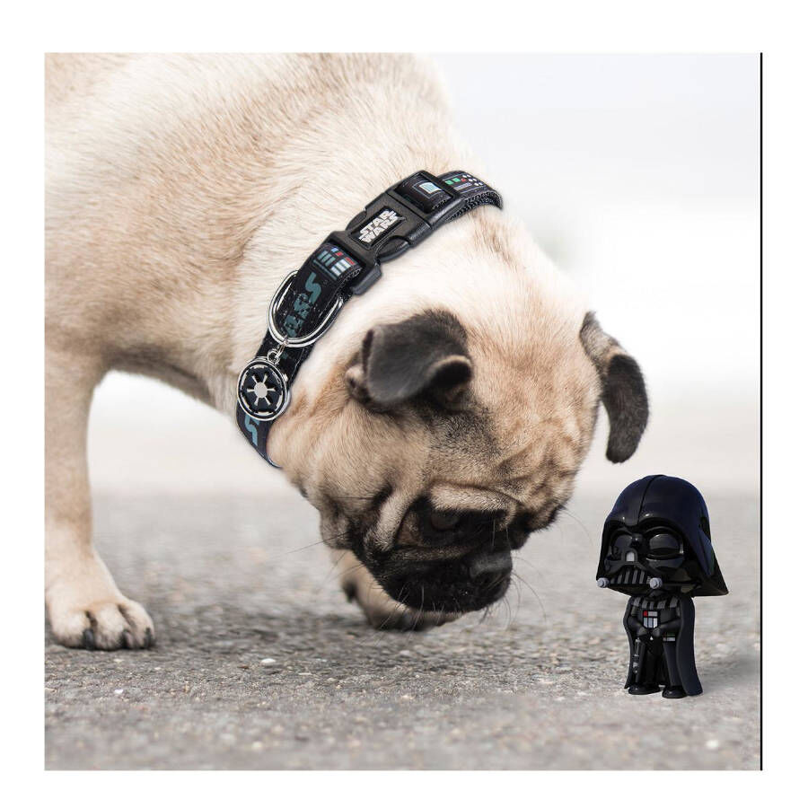 Disney Star Wars Collar Estampado para perros, , large Imagen numero 4