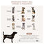 PawHut Jaula para Perros Medianos Mesa Auxiliar 80x55x70 cm con 2 Puertas con Pestillo Cojín de Tela Oxford Extraíble y Rejillas de Acero Perrera para Interiores Gris, , large indicador imagen numero 4
