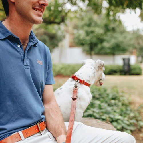 Collar de cuero premium clasic para perros color marrón thumbnail