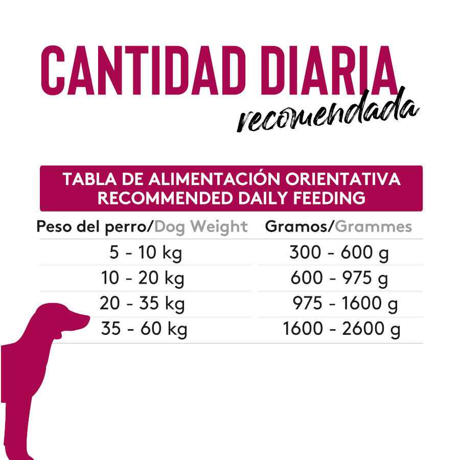 380 g Dibaq Lata Pulpo a la Gallega para perros, , large Imagen numero 2