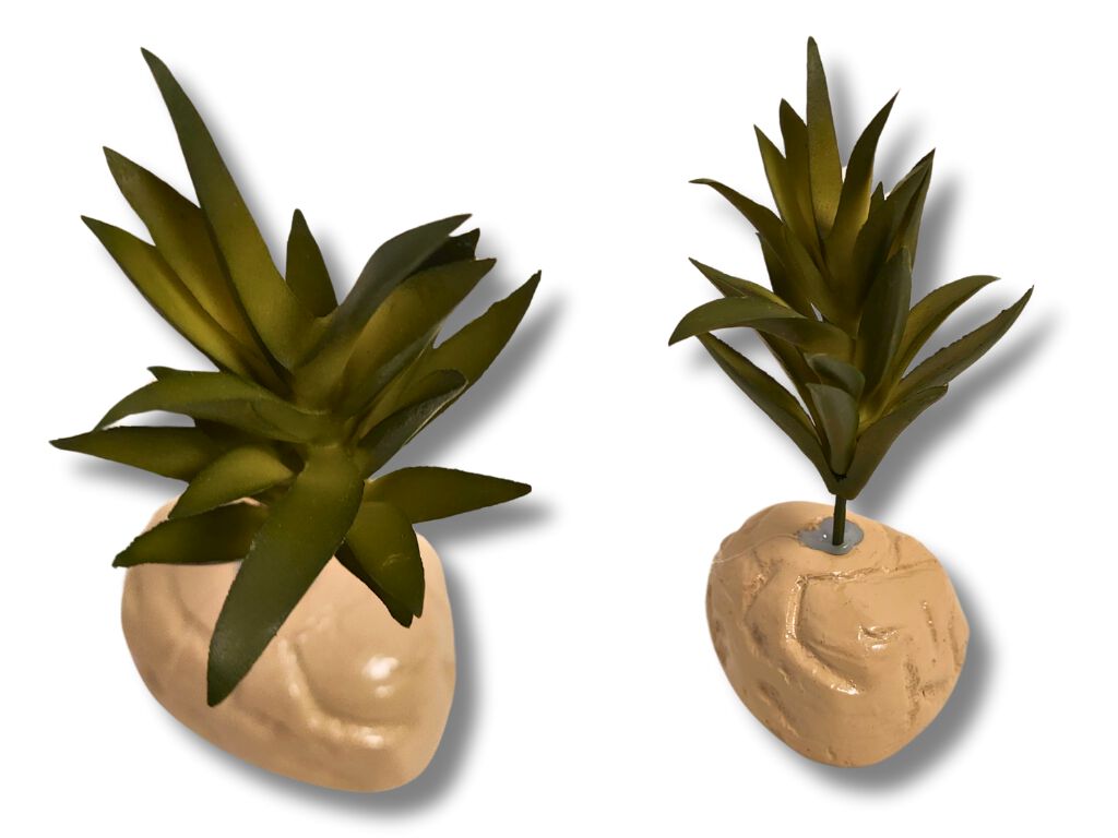 Reptilhábitat Planta Suculenta De Decoración Para Terrarios