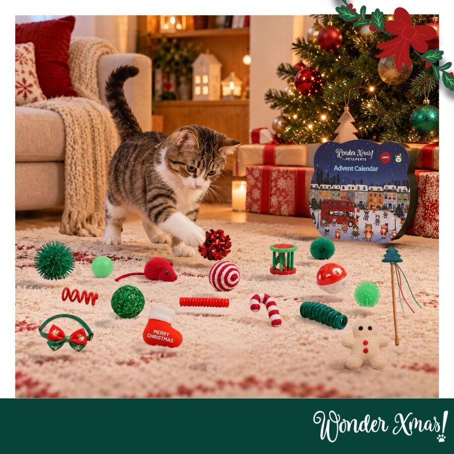 Wonder Christmas Calendario Adviento Premium Juguete para gatos, , large Imagen numero 2