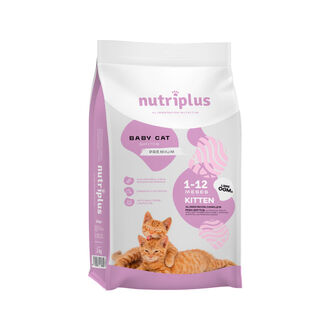 Nutriplus Kitten para gatitos