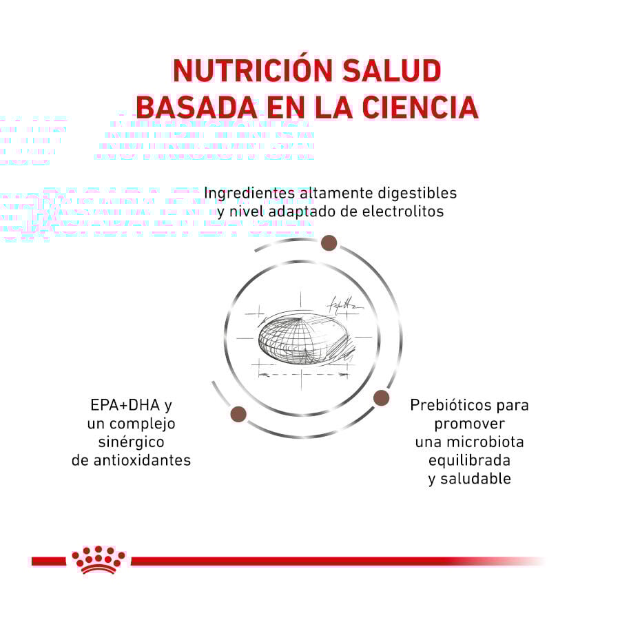 Royal Canin Veterinary Gastrointestinal Moderate Calorie pienso para gatos thumbnail