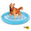 Summer Vibes Piscina con chorros para perros, , large indicador imagen numero 2