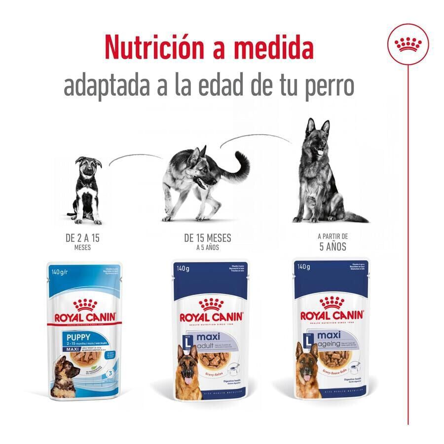 Royal Canin Maxi Adult Carne sobre en salsa para perros thumbnail