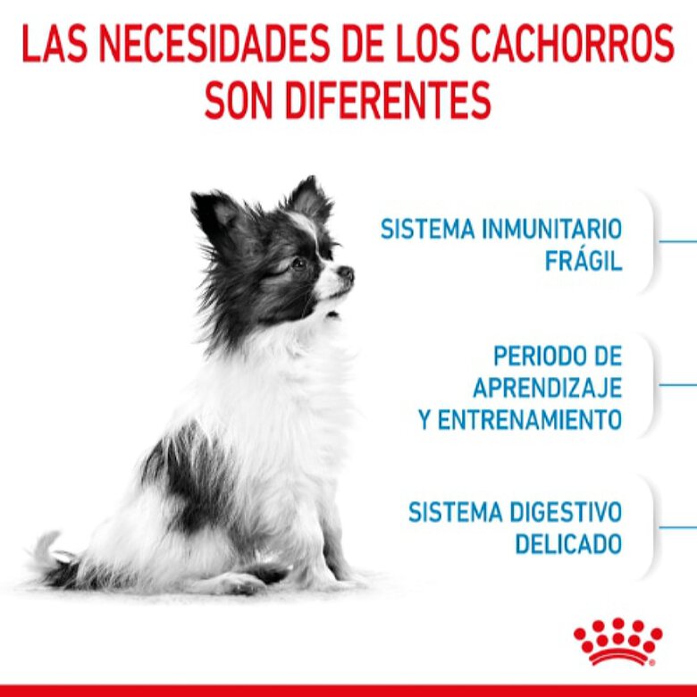 Royal Canin X-Small Puppy pienso para perros, , large image number null