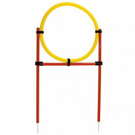 Set de entrenamiento para perros color Rojo y Amarillo