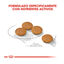 8 kg Royal Canin Dermacomfort Mini pienso para perros, , large indicador imagen numero 4