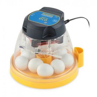 Brinsea mini II eco incubadora pequeña para gallinas