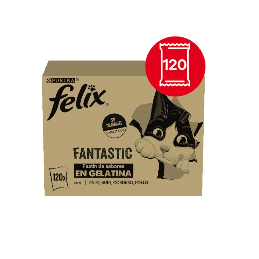 Felix Fantastic Selecciones Favoritas de Carnes en Gelatina sobre para gatos – Multipack