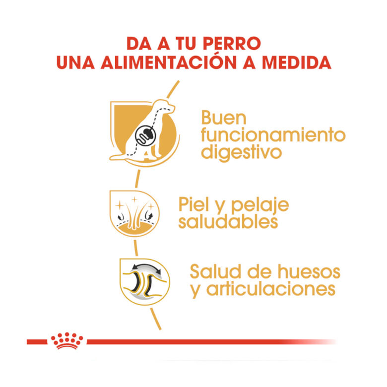 Royal Canin Adult Pastor Alemán pienso para perros thumbnail