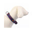 DC Comics Supermascotas Collar para perros, , large indicador imagen numero 2