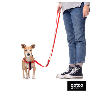 Gotoo Correa de nylon roja reflectante para perros