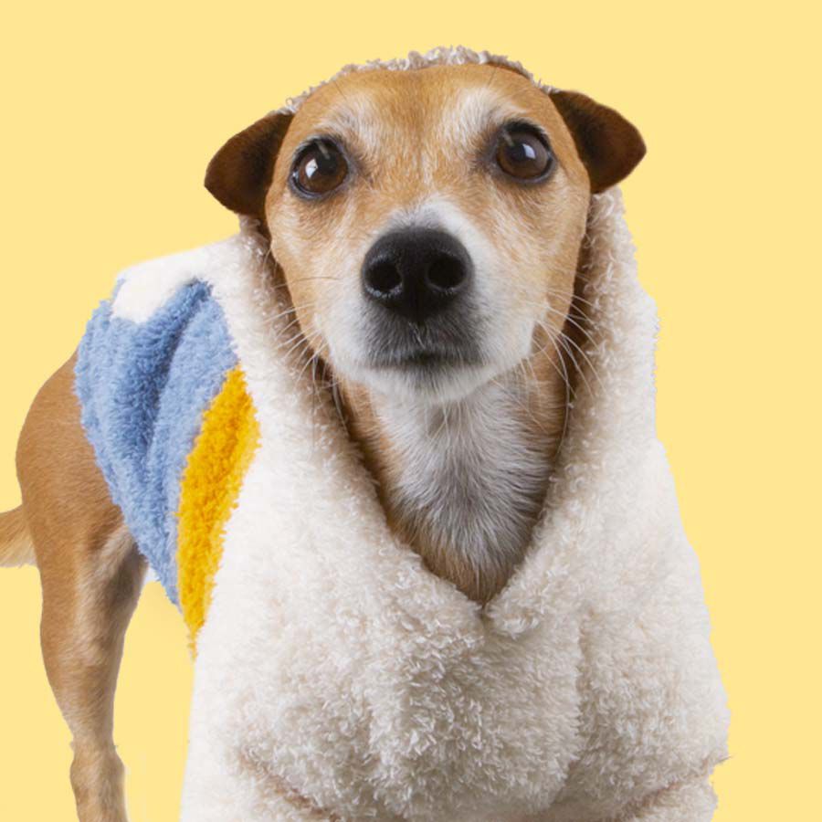 Outech Colorblock Pijama para perros thumbnail