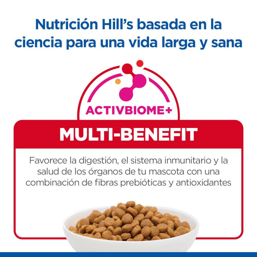 10 kg Hill's Science Plan Sterilised Adult Salm&oacute;n pienso para gatos, , large Imagen numero 7