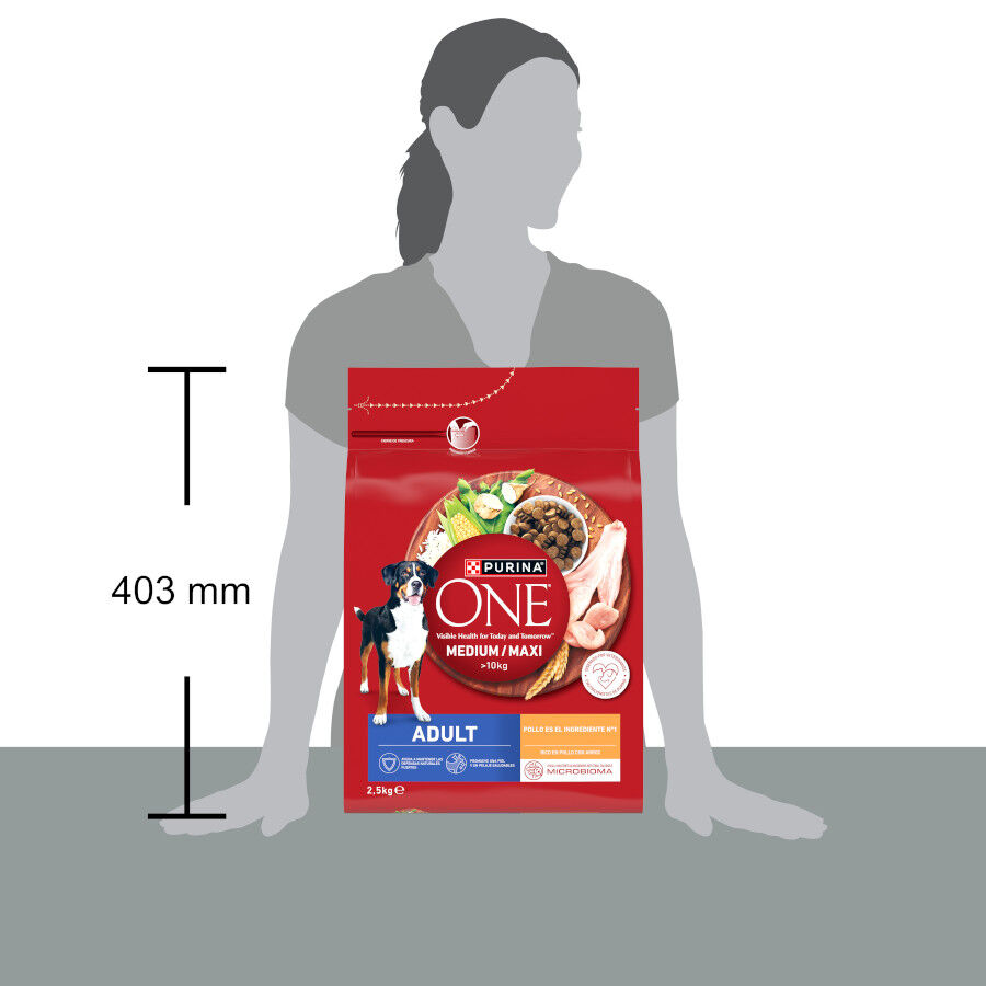 2,5 kg Purina One Pienso Pollo para perros adultos, , large Imagen numero 4