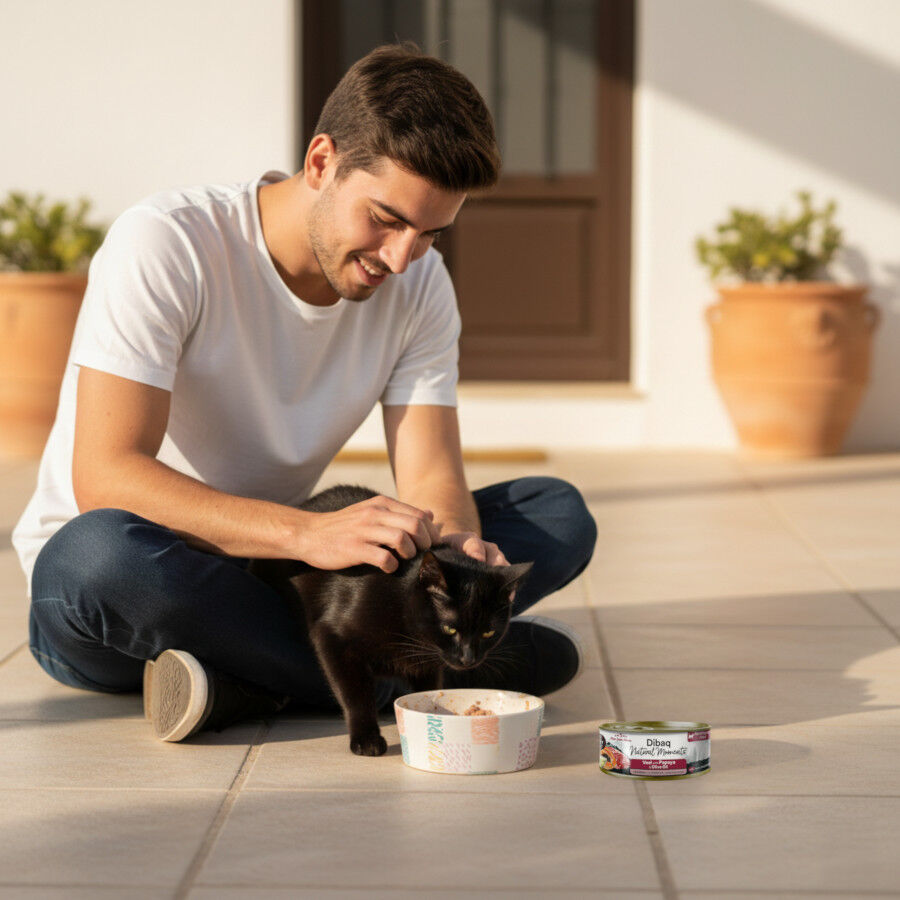 12 Latas x 70 g Dibaq Natural Moments Lata esterilizado Ternera con Papaya para gato - Pack ahorro, , large Imagen numero 4