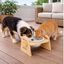 Leeby Comedero Elevado de Madera y Cer&aacute;mica para perros y gatos, , large indicador imagen numero 1