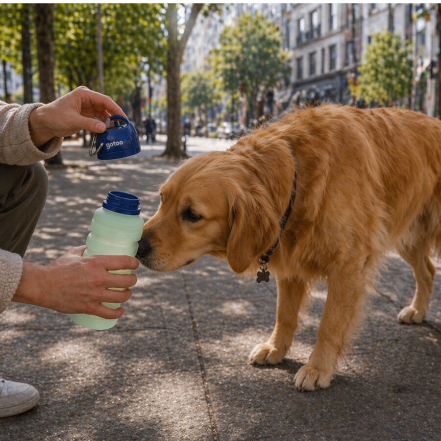 Gotoo Botella Bebedero Port&aacute;til de Silicona Azul y Verde para perros y gatos, , large Imagen numero 1