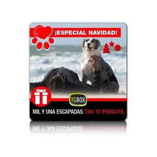 Tgbox mil y una escapada con tu mascota especial Navidad