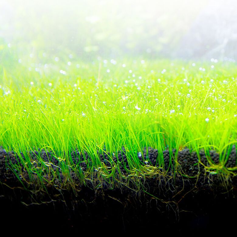 Fluval Bio Stratum Sustrato para plantas de acuario thumbnail