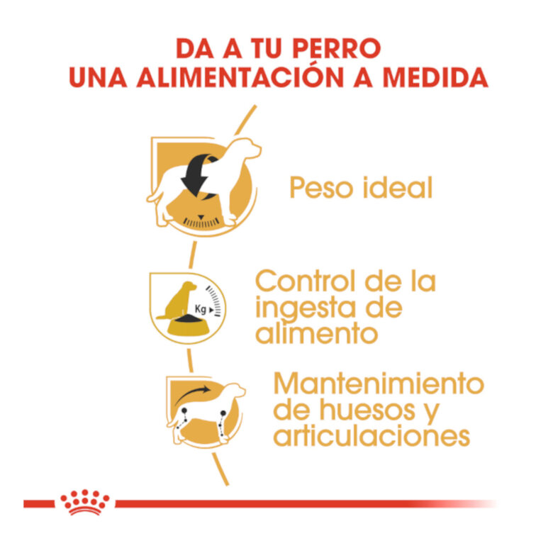Royal Canin Adult Beagle pienso para perros, , large image number null