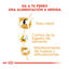 12 kg Royal Canin Adult Beagle pienso para perros, , large indicador imagen numero 6