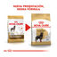 12 kg Royal Canin Adult Rottweiler pienso para perros, , large indicador imagen numero 3